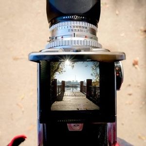 Meet your Posher, Janet